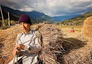 Un paysan dans la région de Paro