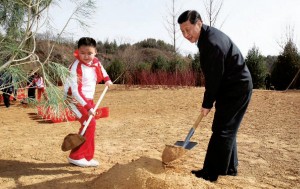 Xi Jinping, comme les autres leaders chinois, plante un jeune arbre, à Pékin, le 3 avril 2012, lors d’une campagne de reboisement volontaire, lancée par le président Hu Jintao.